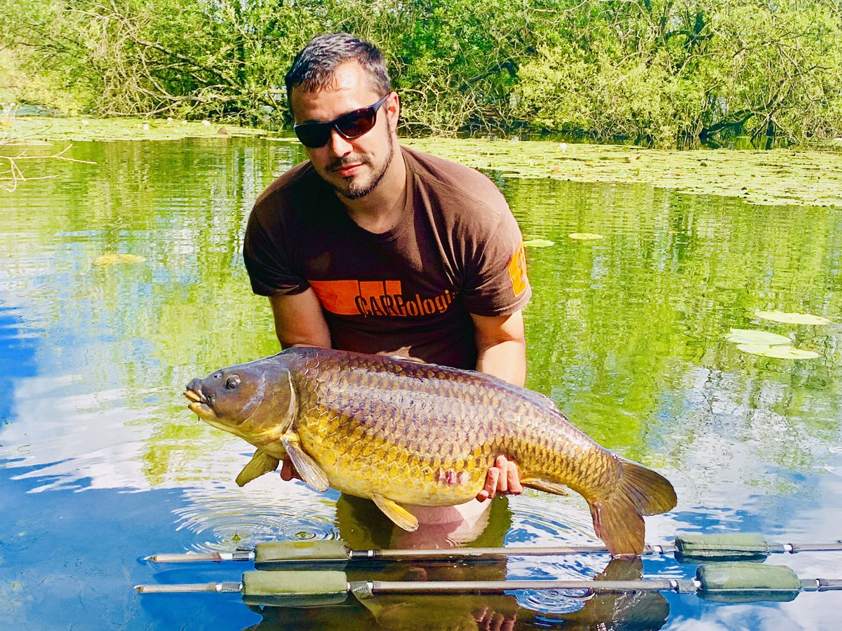 Markkc1988's tweet photo. Another stunning estate lake common, mid 20s, proper scrapper too. Caught in the margin in 2ft of water. #common #carp #askpenners @askpenners #monsterbaits #stalked #fishing https://t.co/N0iUFtMDJw