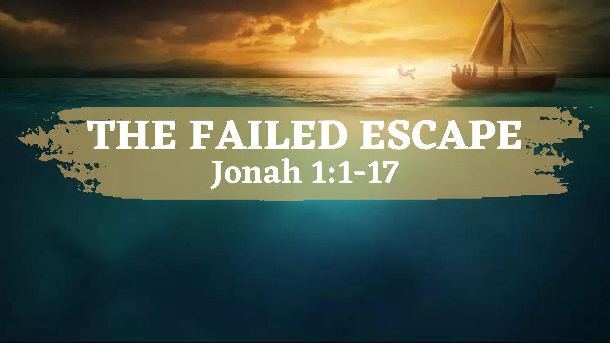 SWCPLo's tweet image. WEEKEND UPDATE - mailchi.mp/efb38534dc2b/w…