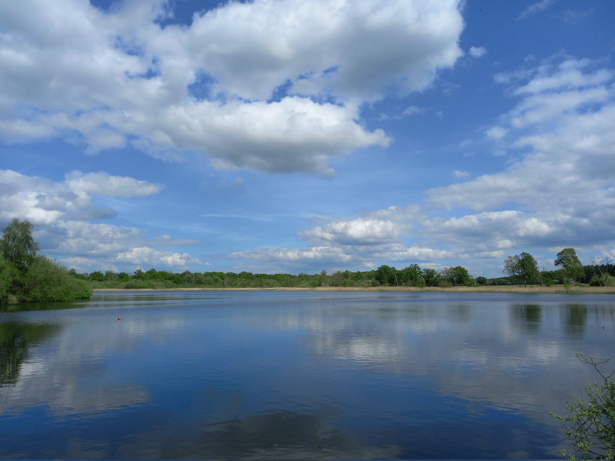 harris_sjh's tweet photo. Nine Hobby over #ThompsonWater today. Plus Swifts are back and wildfowl numbers well down. And check out all those tadpoles! All change since my last visit over a week ago. π https://t.co/6JhtEEEkTr