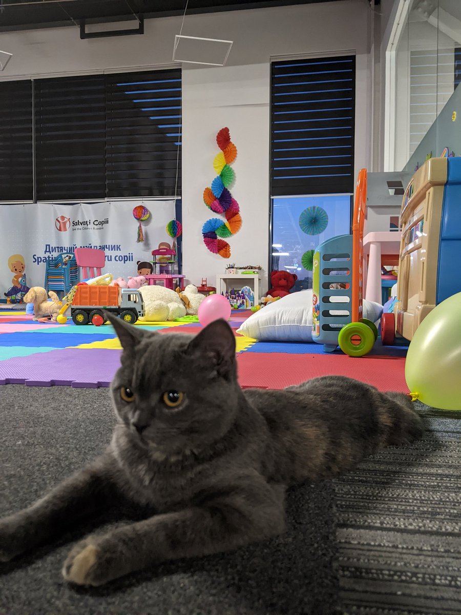 freya_carr's tweet photo. These pets are providing some much needed fun and comfort to Ukrainian refugees at this transit centre in Romania. Today I've met 5 cats and a dog. Last week the centre was also home to a rabbit and a snake! https://t.co/n9UE48jX2n