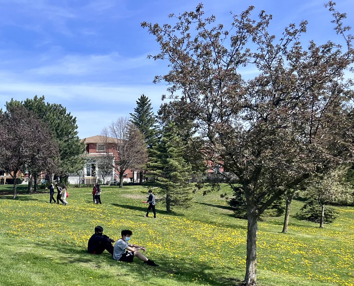 EducatorHoss's tweet photo. Another beautiful day 🌞 with the @FMMtweets @Race_with_Me #RunWalkClub - 45 minutes done. Our 200m timed sprint is set for tomorrow. You are welcome to join us. https://t.co/HwpSnT9NLv