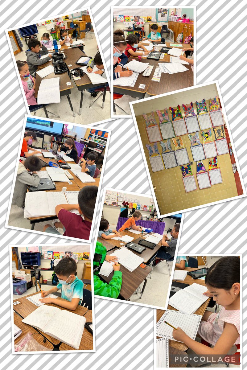 Marisa Pompa tweet media