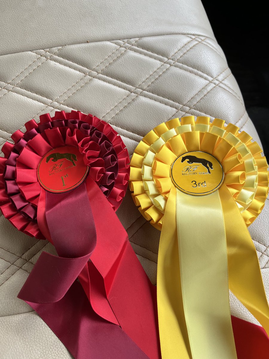 Another good day for Ruby. A Win and a 3rd place a Rectory Equestrian Center today. All the hours of training and early mornings paying off. Super proud of both rider and her older horse Cavalier Midnight Velvet.