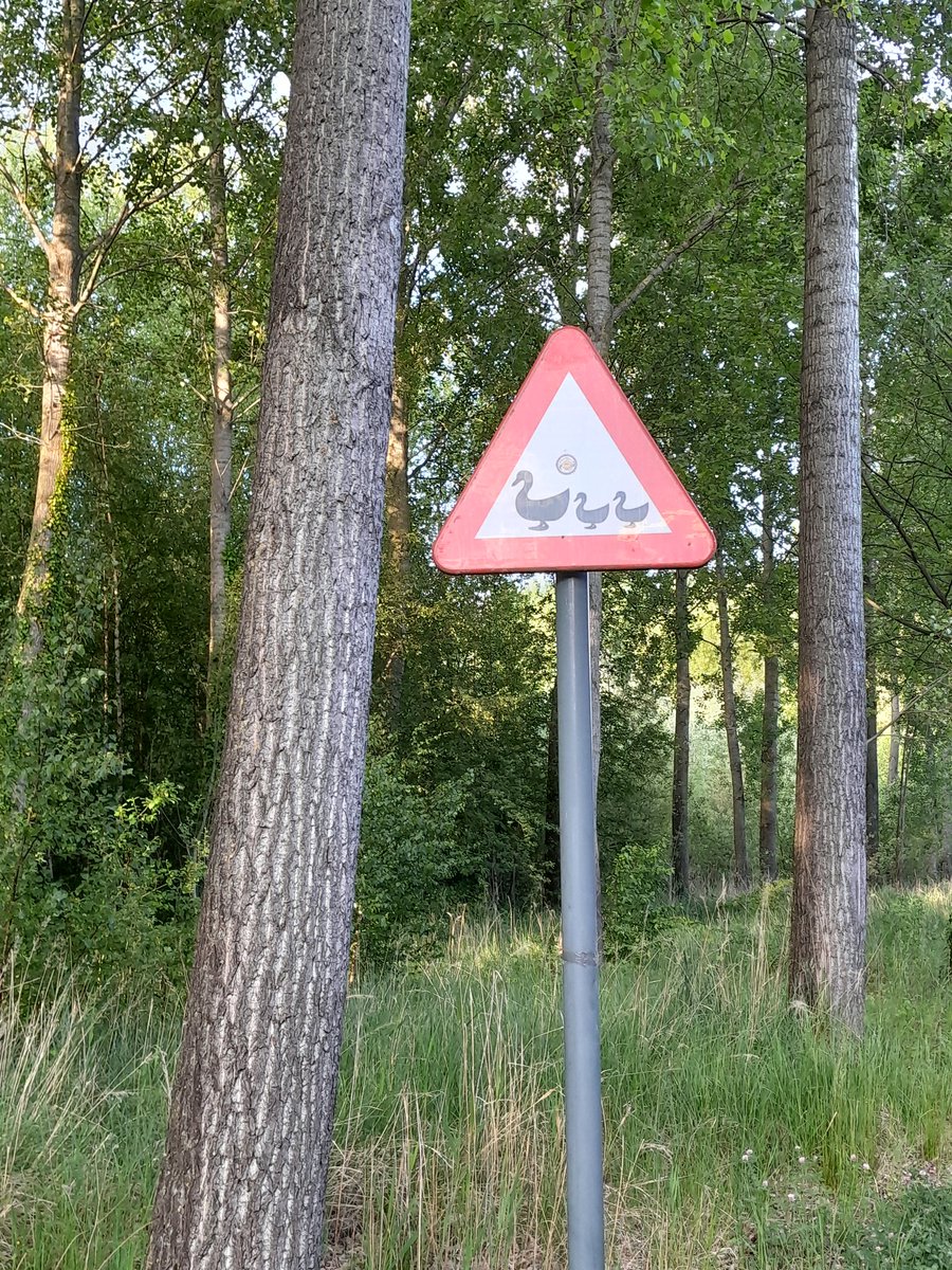 En wat is jullie favoriete verkeersbord?