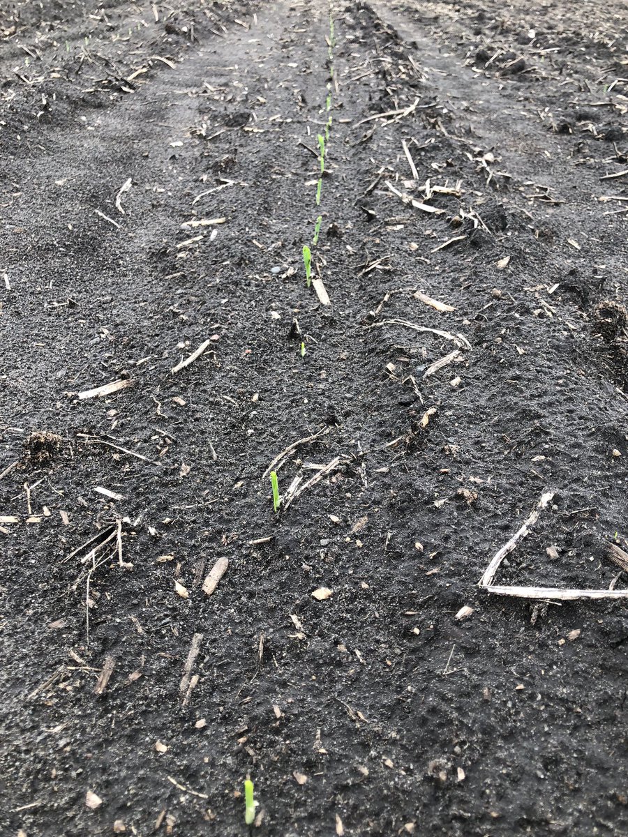 Keith Lendt tweet media