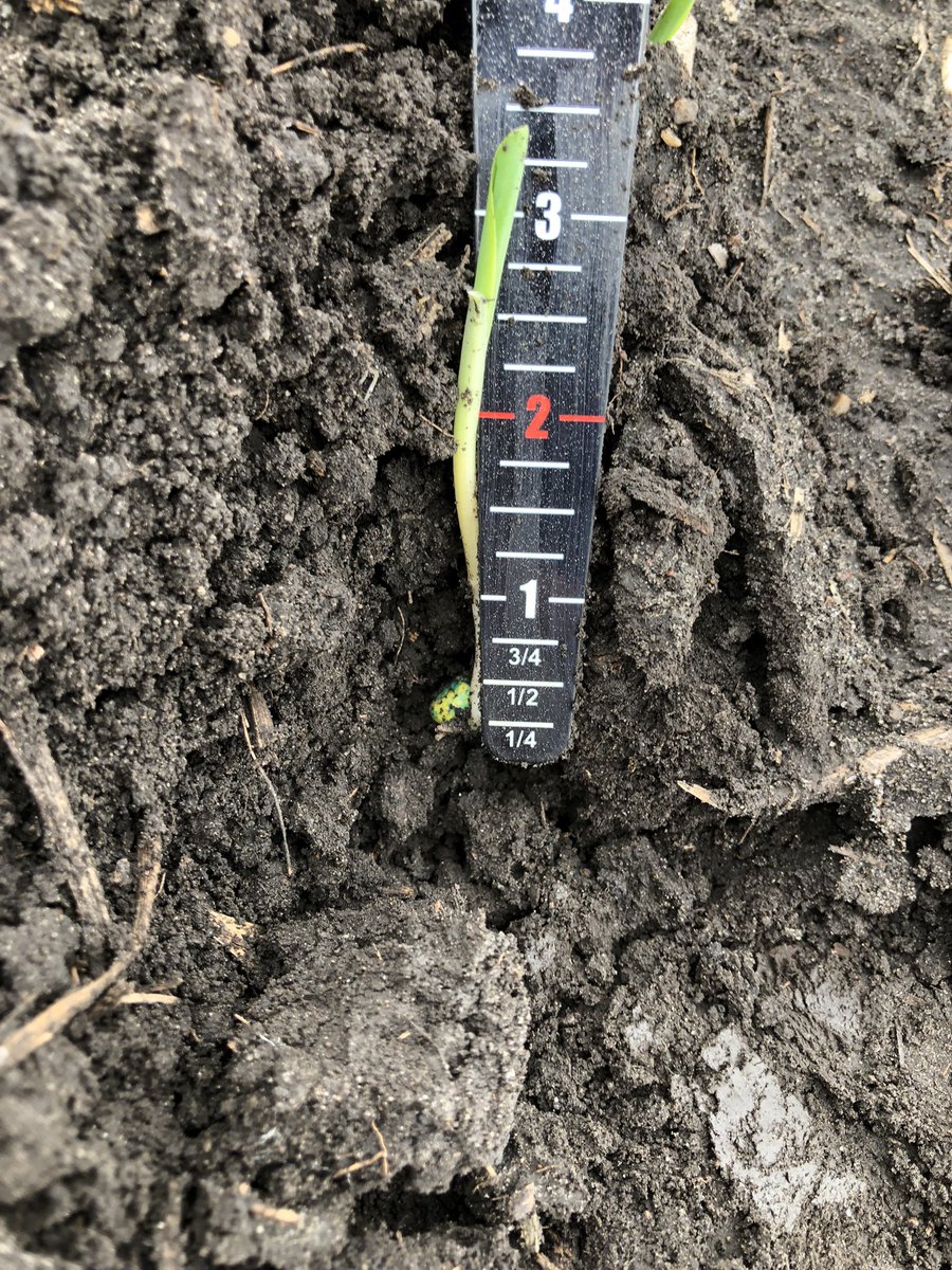 Keith Lendt tweet media