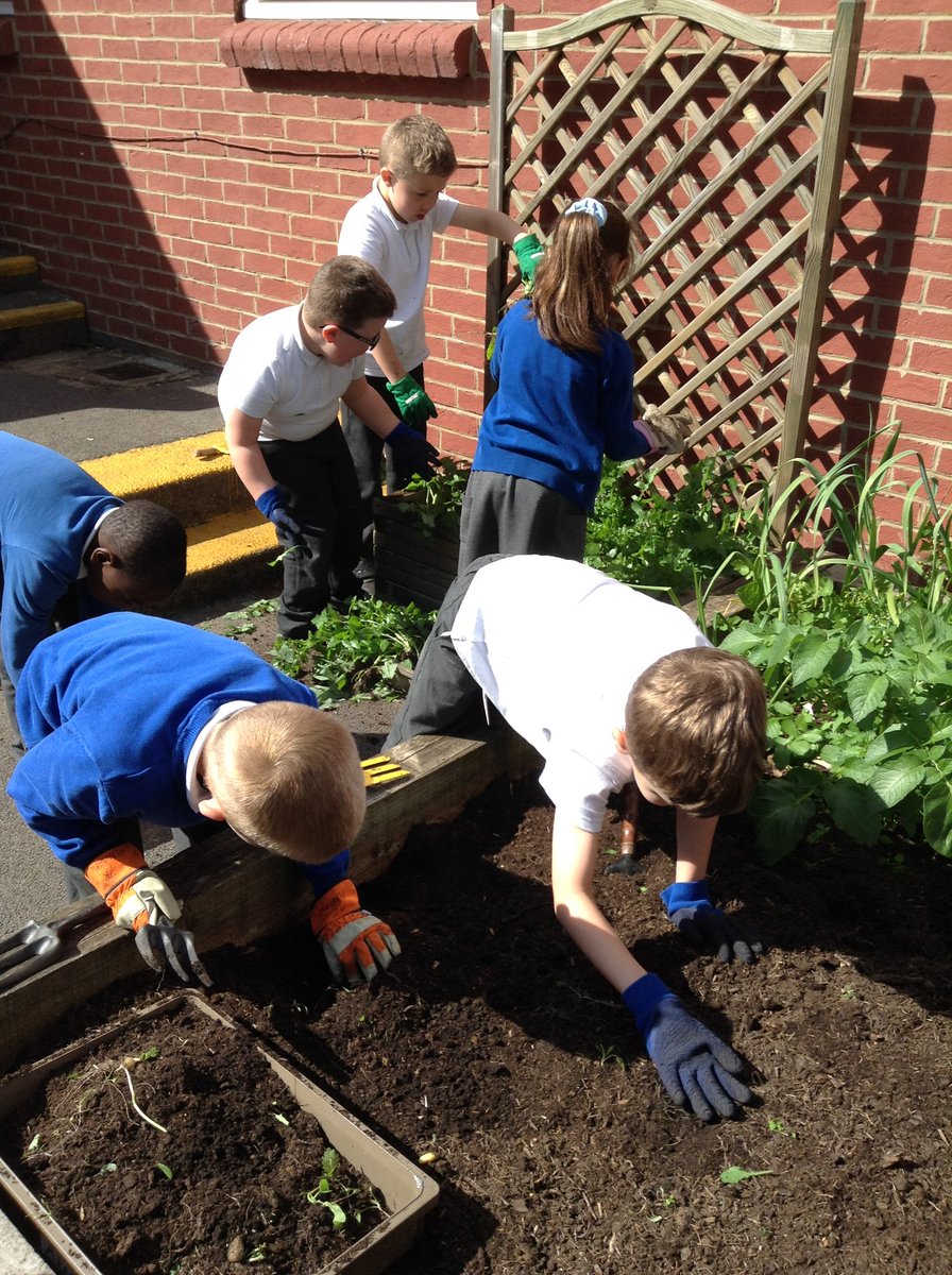FlanshawJIN's tweet photo. Welcome to our new Gardening Club members who are looking forward to the new growing season. This week they have started preparing our growing beds for next weekβs planting! #activeants π https://t.co/vIKvpg6nxX
