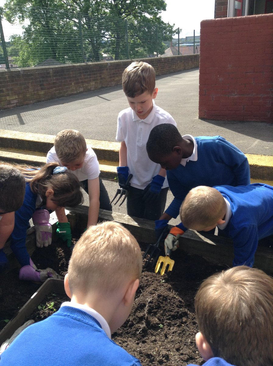 FlanshawJIN's tweet photo. Welcome to our new Gardening Club members who are looking forward to the new growing season. This week they have started preparing our growing beds for next weekβs planting! #activeants π https://t.co/vIKvpg6nxX