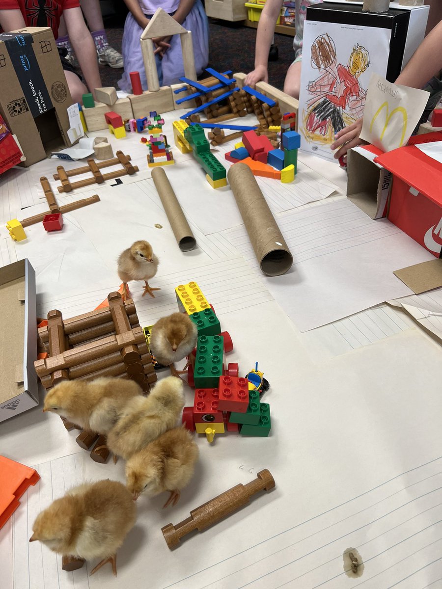 Chick city!!!!🐥🏢🏙🌇