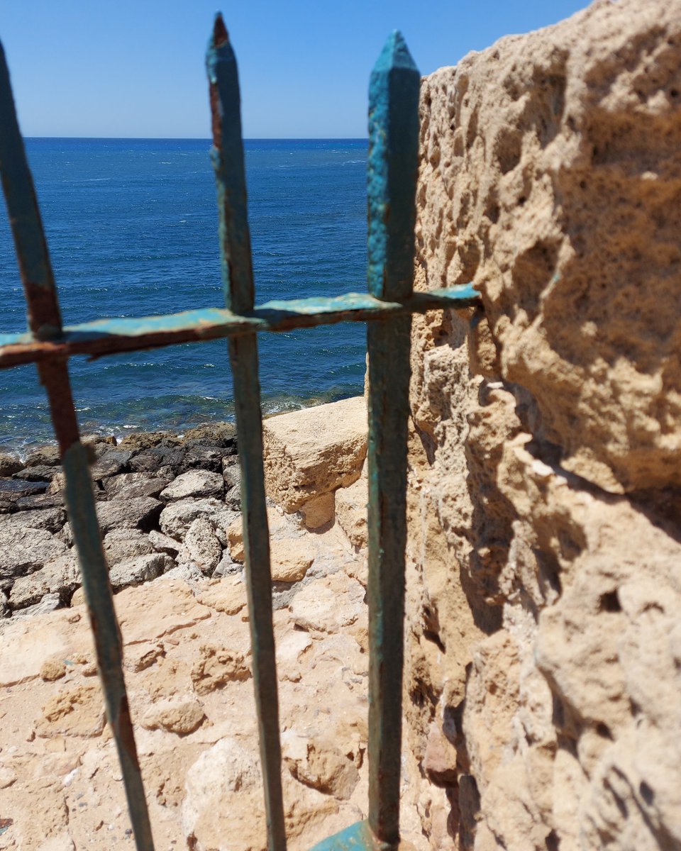 noeliammm76's tweet photo. Día 257 #elmar https://t.co/rU8NEd9SDU