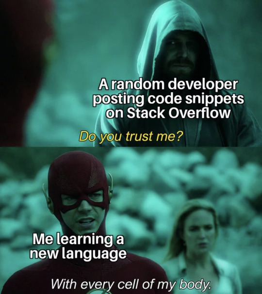 StackOverflow's tweet image. You&apos;ll learn that new language in a Flash. #stackoverflowmemes #mememay