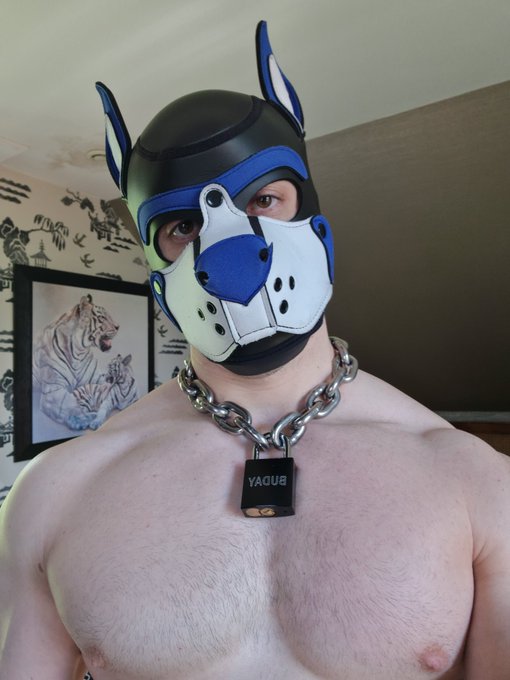 Hairy chest? 😊 https://t.co/qFj3z2VE2E<a href="/tag/foreskinfriday"class="tags"><span>#foreskinfriday</span></a>