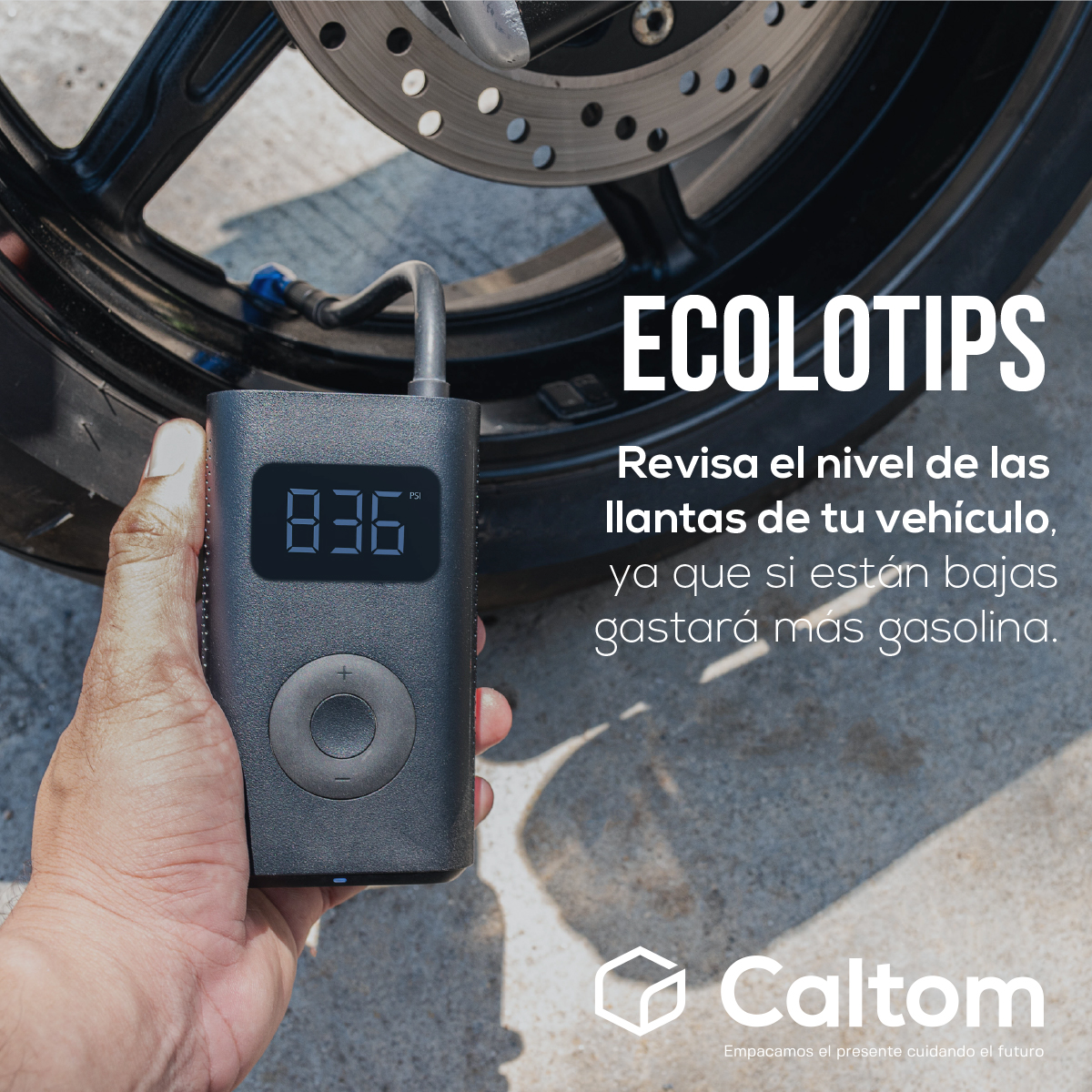 CaltomOfficial's tweet photo. Acciones sencillas, resultados increíbles  💻🤓  Día de #Ecolotip https://t.co/Y1esWZfS8M