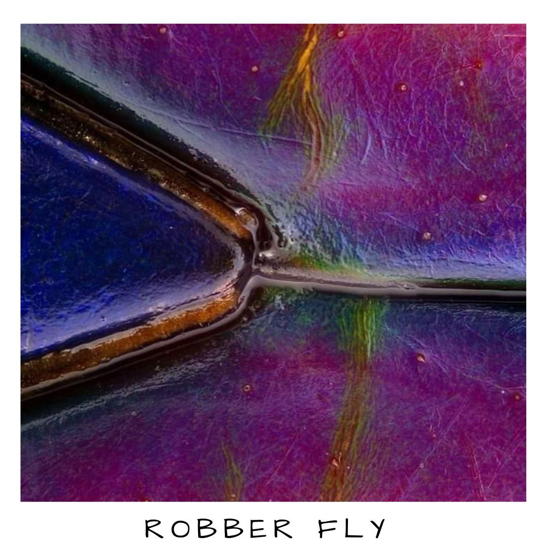 MeMicroscope's tweet photo. A quick reminder that nature is sometimes terrible... Robber flies ladies and gentlemen!

#scicomm #sciart #makeup #Microscopy #Science #AcademicTwitter #AcademicChatter
👇 https://t.co/yrzy43JqQP