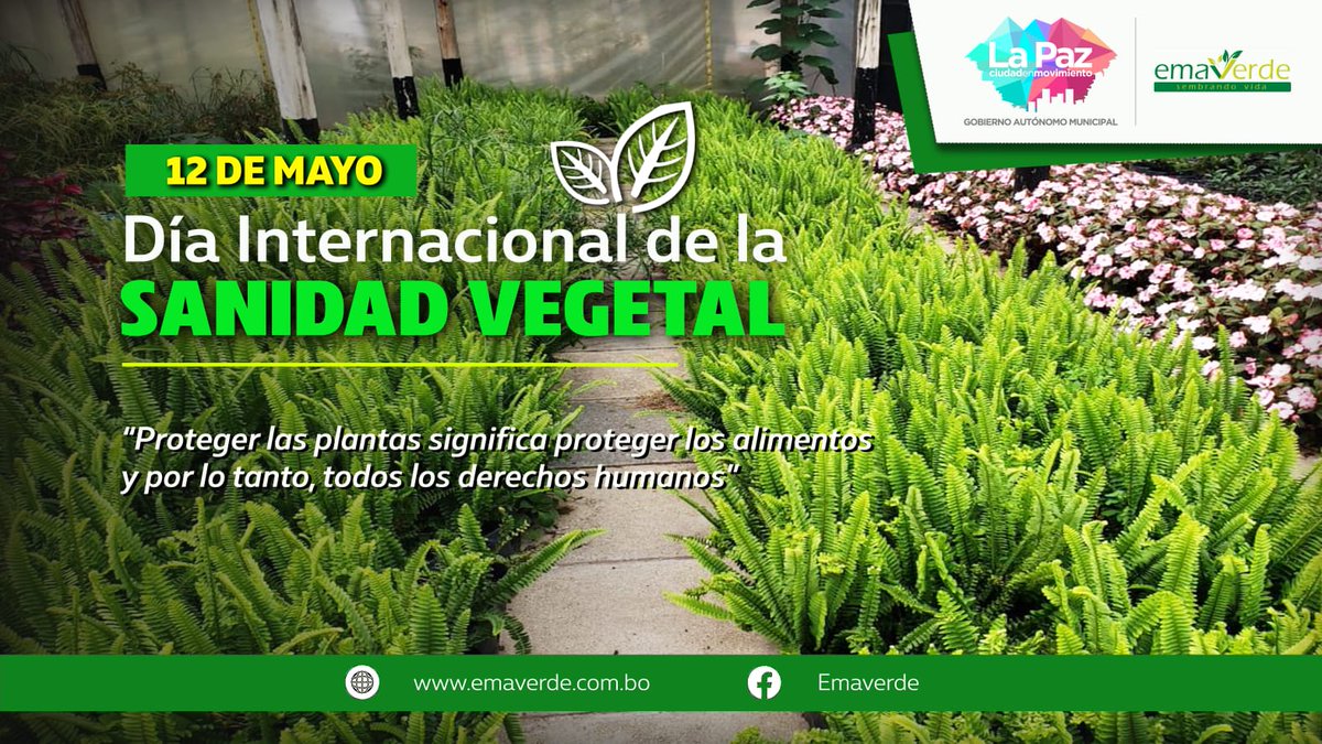 #12deMayo |🍀Día Internacional de la Sanidad Vegetal 
#LaPazEnMovimiento
#PorElBienComún
#LaPazModernayVerde
#Emaverde
