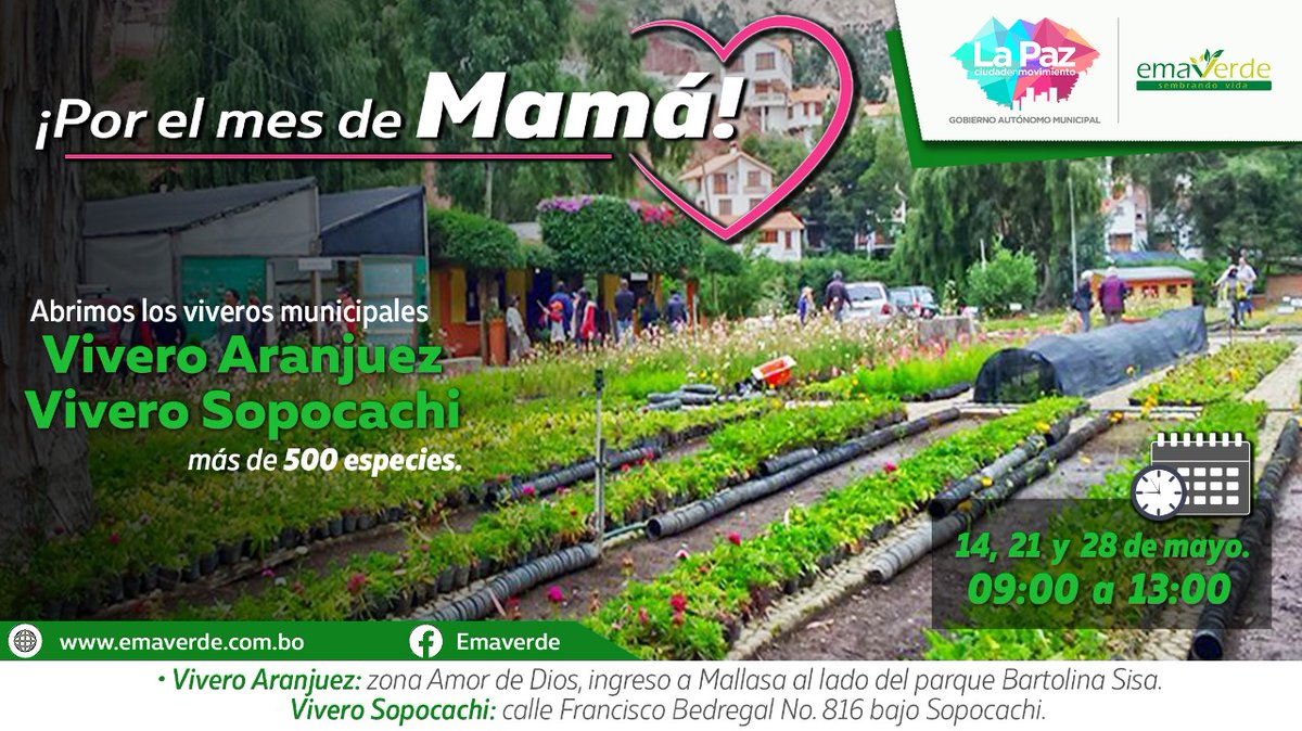 👩‍👧‍👦❤ Este mes de la madre es un mes muy especial e importante. Te invitamos a visitar nuestro vivero municipal  de Aranjuez tenemos para ofrecerte más  de 500 especies para que puedas llevarlo a tú hogar.