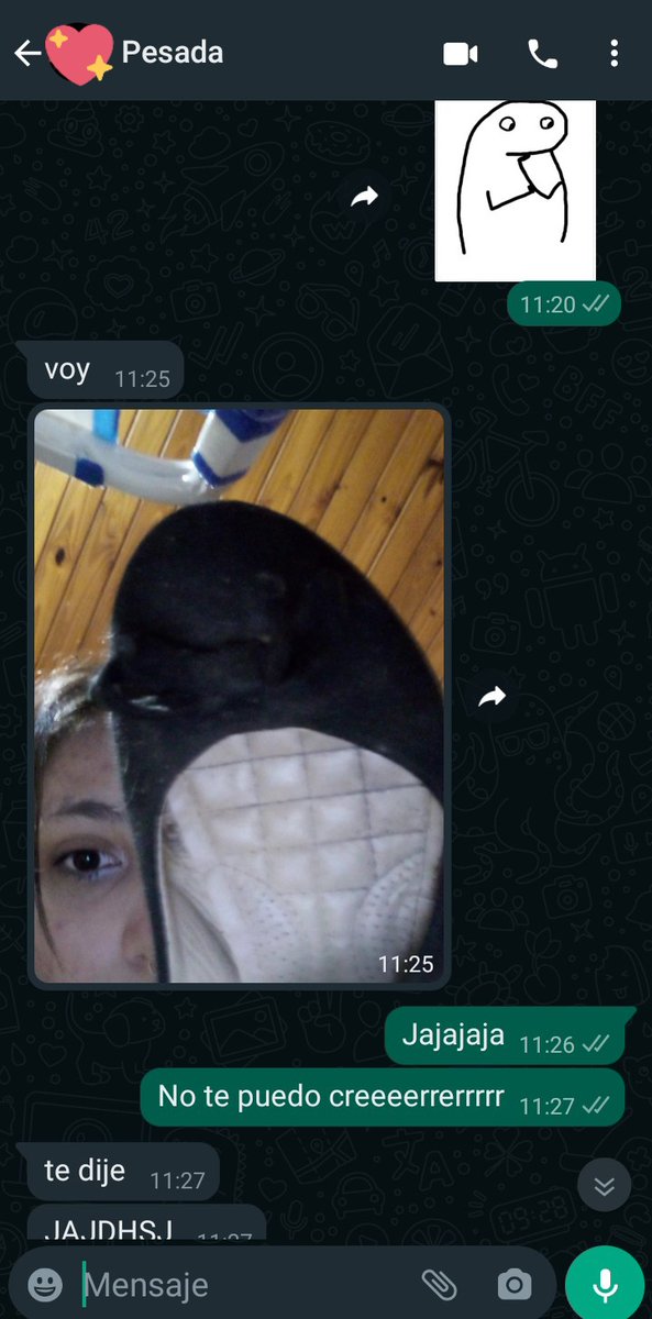 Me olvidé una de mis chatitas a 1065km lpm. 
Iré a conciertos de zapatilla 🤣