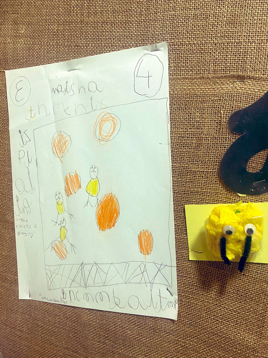 misssmythe_HT's tweet photo. Awe and wonder for our new friends has inspired so much independent writing β¨β¨βοΈππ #EYFS #EarlyYears #EY #EYWriting #InspiredWriting #Chicks https://t.co/hplEjrmpNY