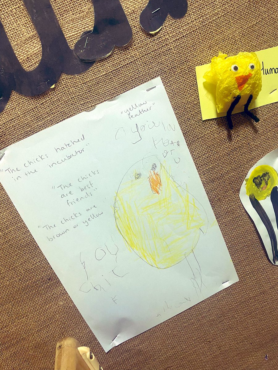 misssmythe_HT's tweet photo. Awe and wonder for our new friends has inspired so much independent writing β¨β¨βοΈππ #EYFS #EarlyYears #EY #EYWriting #InspiredWriting #Chicks https://t.co/hplEjrmpNY