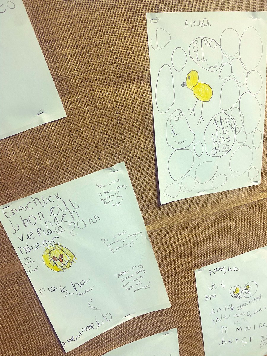 misssmythe_HT's tweet photo. Awe and wonder for our new friends has inspired so much independent writing β¨β¨βοΈππ #EYFS #EarlyYears #EY #EYWriting #InspiredWriting #Chicks https://t.co/hplEjrmpNY