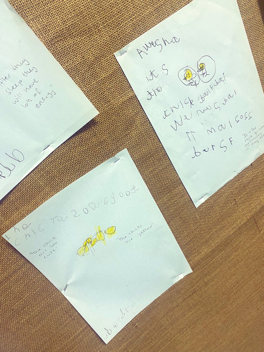 misssmythe_HT's tweet photo. Awe and wonder for our new friends has inspired so much independent writing β¨β¨βοΈππ #EYFS #EarlyYears #EY #EYWriting #InspiredWriting #Chicks https://t.co/hplEjrmpNY