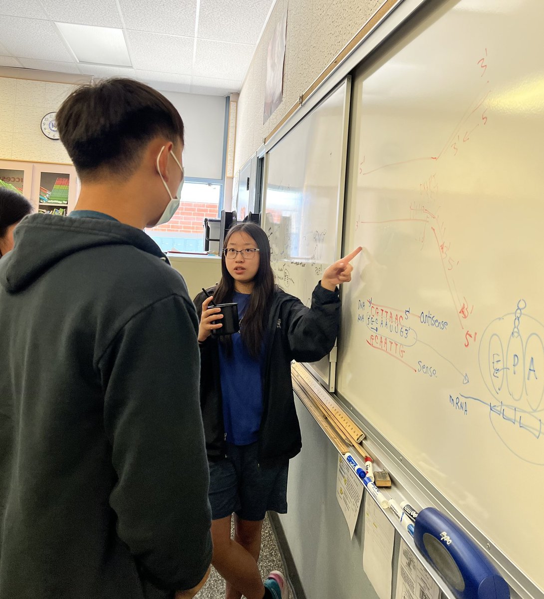 zhenbio's tweet photo. Pre-IB exam lunch with my IB Bio students! 😃 So proud of all their hard work this year! Best of luck!! 👍
#TodayatWHS #zhenbio #zhenibbio https://t.co/H1Qp90I2xa