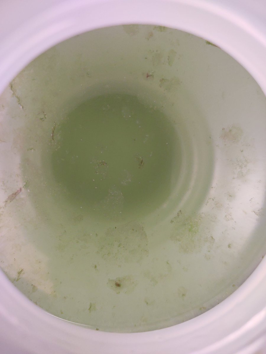 LPatchBHS's tweet photo. Nutrient lab results after 2 weeks to show fertilizers impact on local creek water #tcsyes #eutrophication #microscope https://t.co/pJCCgE1AQg