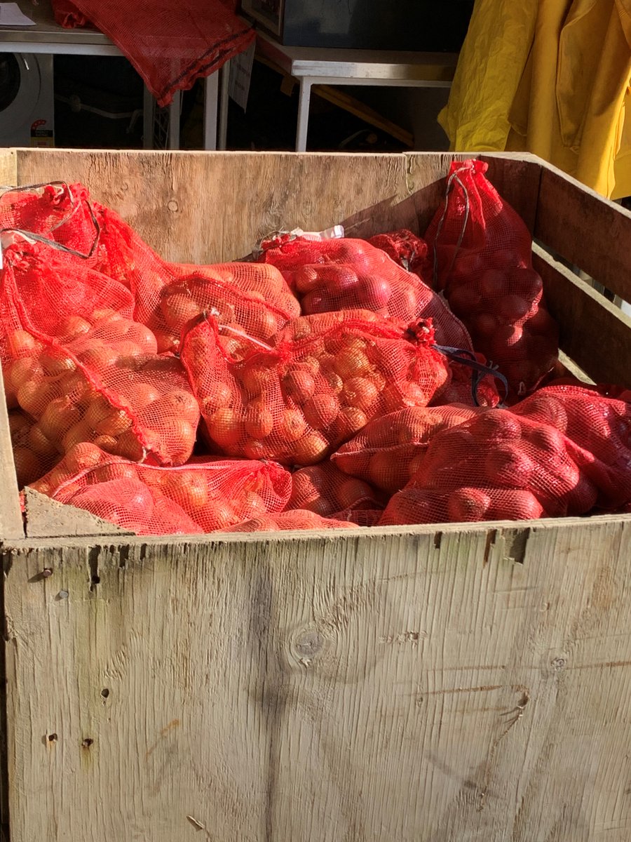 Onions, onions and more🧅A modified cement mixer in action for <a href="/plantandfood/">Plant & Food Research</a> <a href="/Bugologists/">Insect Ecology NZ</a> to assess skin retention and yield in #onions subjected to different #thrips pressure. The work is to improve #onion #thrips management in the <a href="/MPI_NZ/">Ministry for Primary Industries</a> 'Onion Pathways' project with <a href="/NzOnions/">New Zealand Onions</a>