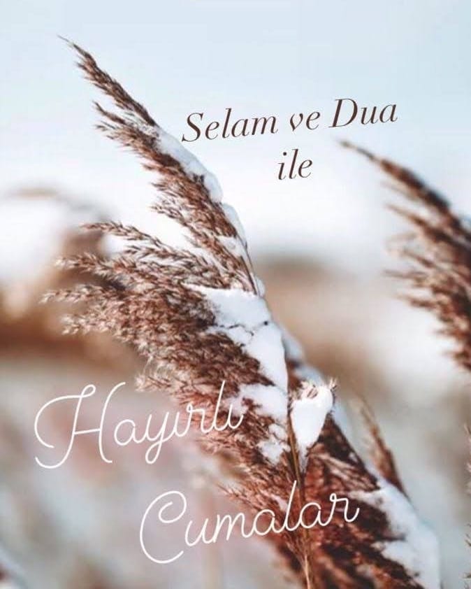 Hayırlı Cumalar Canım TÜRKİYE'M,Kardeşlerim Allah'ın Rahmeti Ve Bereketi Üzerinize Olsun İşiniz Gücünüz Rast Gelsin Vesselam.@cuma @turkiye #cuma #Türkiye #HayırlıCumalar