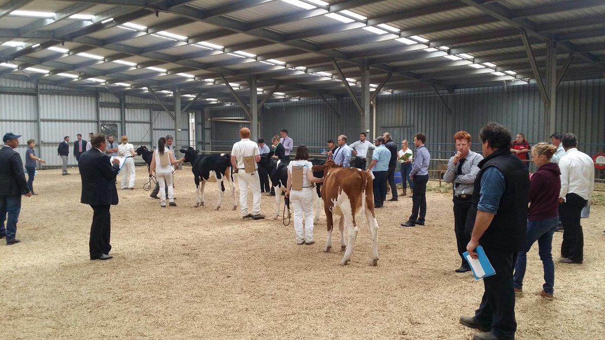 National Judging School applications close TONIGHT. Learn more about assessing and describing dairy cattle from 23 to 25 May. All participants have the opportunity to qualify for the National Judges Panel. ACT NOW! Go to  bit.ly/3OGQBuM

#HolsteinCommunity #JudgingSchool