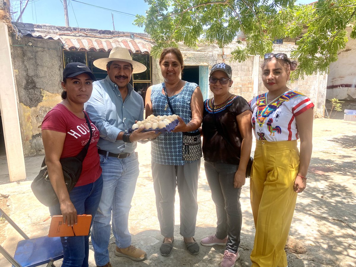 Esta es parte de la producción lograda a través del programa Aves de Postura en Traspatio, mediante el que hemos apoyado a muchas #familias #AFODEPO en diferentes pueblos de #Oaxaca
