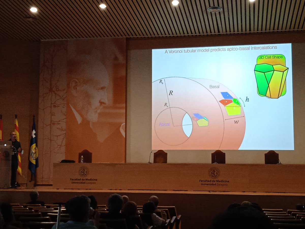 acorralcrm's tweet photo. @JavierBuceta presenting the fascinating scutoids 🪲 under the scrutiny of the great Ramón y Cajal
(not a RyC fellow, the real one!)
#fises22 #fises https://t.co/SALX4Q7i9h