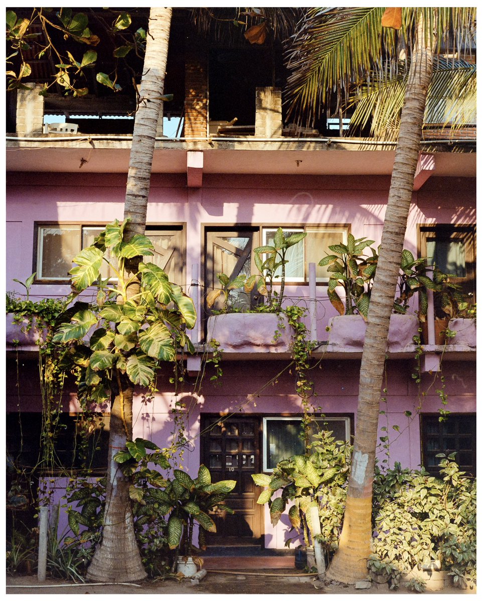 vondotco's tweet photo. Mexico on Kodak Gold 200 https://t.co/wNnK4x4bGX