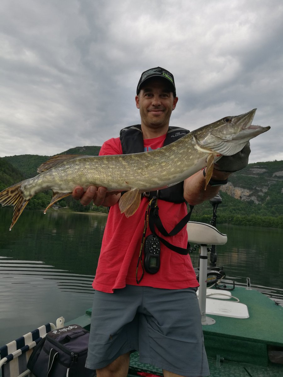 La mise au vert dans le Jura se passe bien. 2h de pêche, 1 Pike au bateau, 1 cartouche monumentale mais ferrage dans le vide, 2 moussages de nez et on a eu la chance de voir descendre un chamois ou bouquetin sur un flan rocheux à 100m de nous :)
