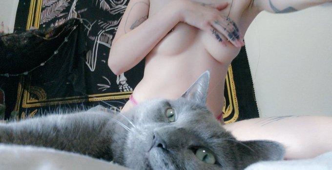 Who wants to collab! Looking for femme &amp; non-binary performers. I'm open to working with cis men but<a href="/tag/altbabes"class="tags"><span>#altbabes</span></a><a href="/tag/gfe"class="tags"><span>#gfe</span></a><a href="/tag/outcall"class="tags"><span>#outcall</span></a><a href="/tag/duo"class="tags"><span>#duo</span></a><a href="/tag/pse"class="tags"><span>#pse</span></a><a href="/tag/torontoesc"class="tags"><span>#torontoesc</span></a>
