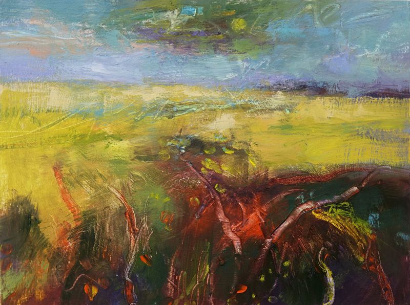 An Acre of Light opens Saturday 14th May. Until 19 June 2020. The exhibition showcases new work by Arundel based artist  Andy Waite.