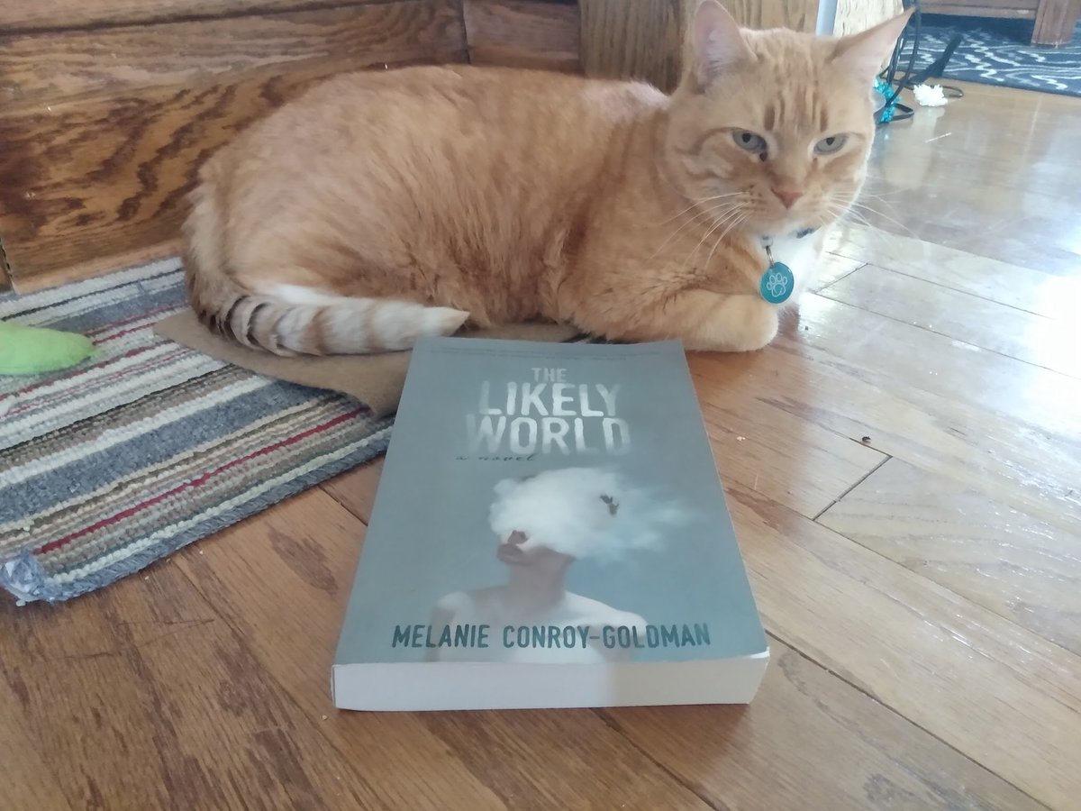 Jpullen19's tweet photo. Dr. Pullen &amp; Dr. Widdershins recommend The Likely World by Melanie Conroy-Goldman. Dr. Pullen found the control of point of view masterful (its hard to pull of a character with memory problems) &amp; the imagery unforgettable. Dr. W. says Cloud sounds like his dreams.  #purrfectreads https://t.co/71ptbnSUEd