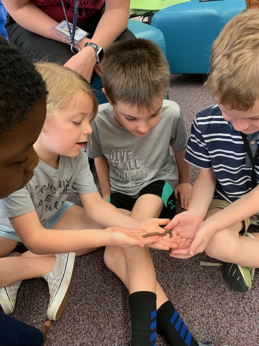Emily_Kelly25's tweet photo. Entomologist, Dr. Megan from The Ohio State University brought some cool bugs for us to learn about today! We even got to hold some! ⁦@BNLC_HCSD⁩ https://t.co/nMmaUKbJL6