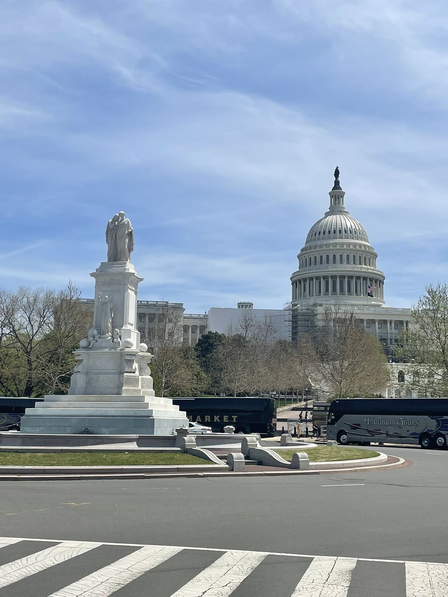 mneary401's tweet photo. Was in DC last month for a friend’s birthday and never got the chance to share some of the pics I took before I was hospitalized for a second time. Was a perfect day to visit the Botanical Garden right next to the Capitol as well! https://t.co/jeiQbWe1XD
