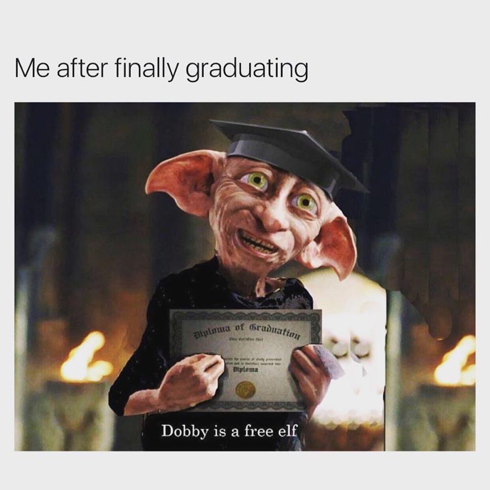 Daily Harry Potter tweet media