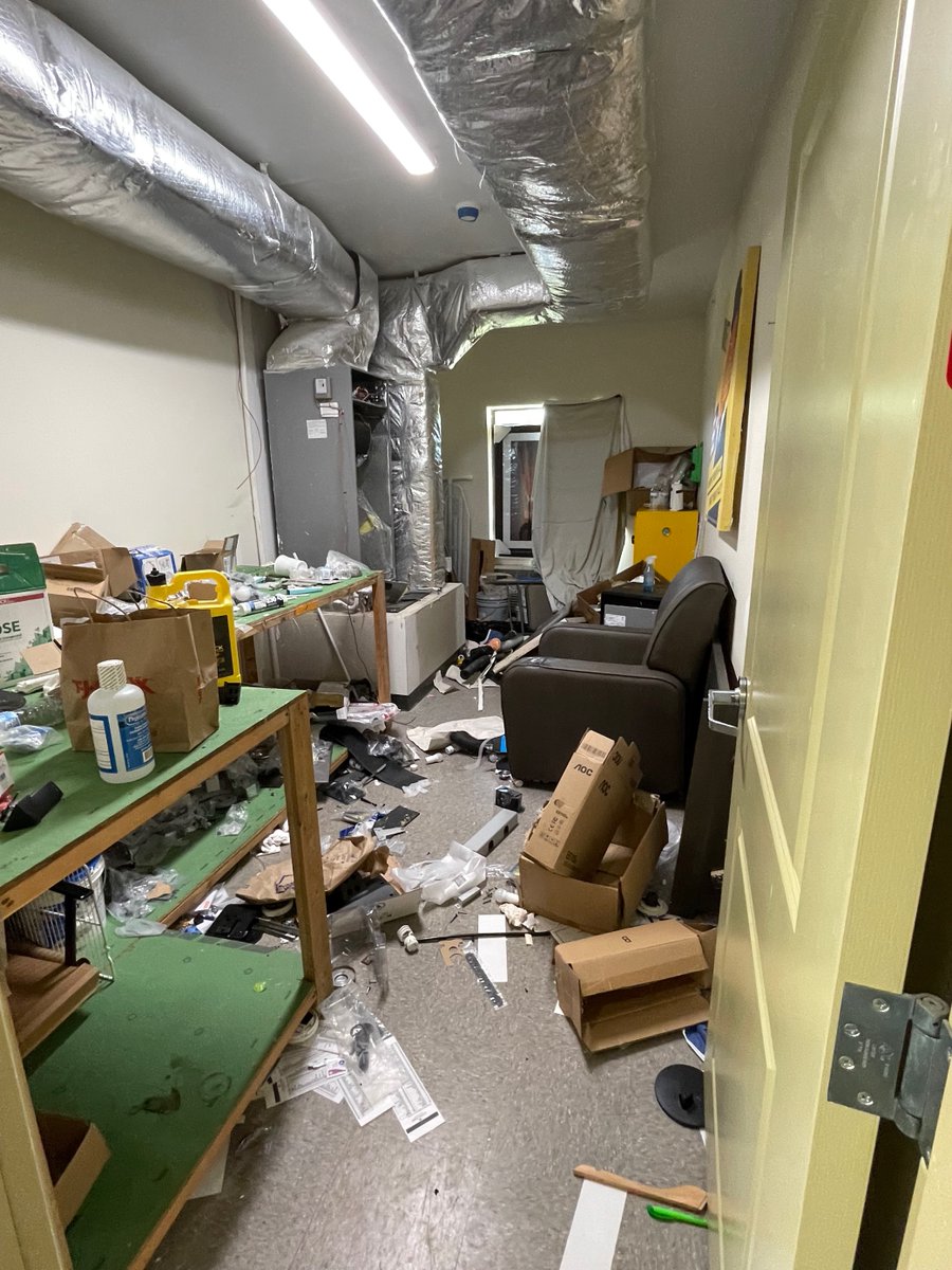 Mackenzie Kelly tweet media