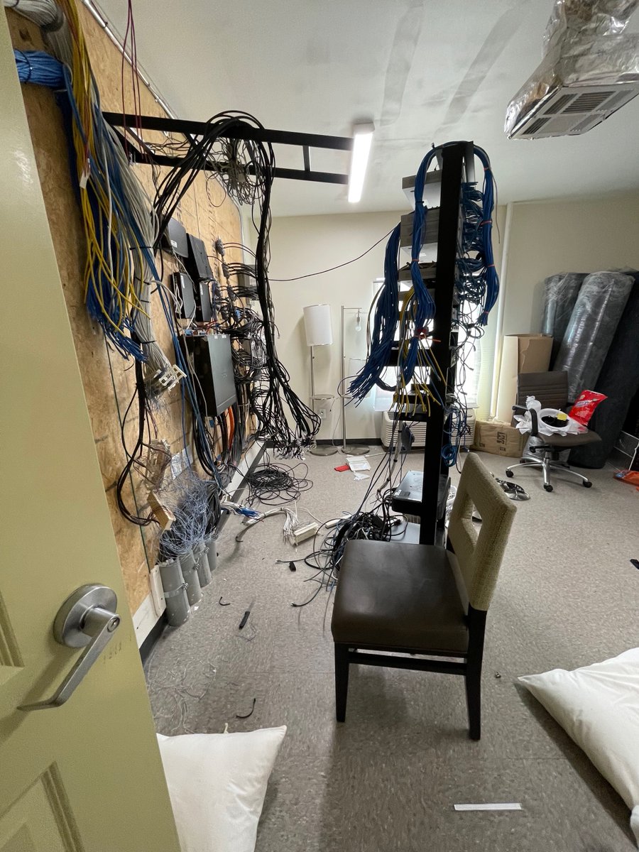 Mackenzie Kelly tweet media