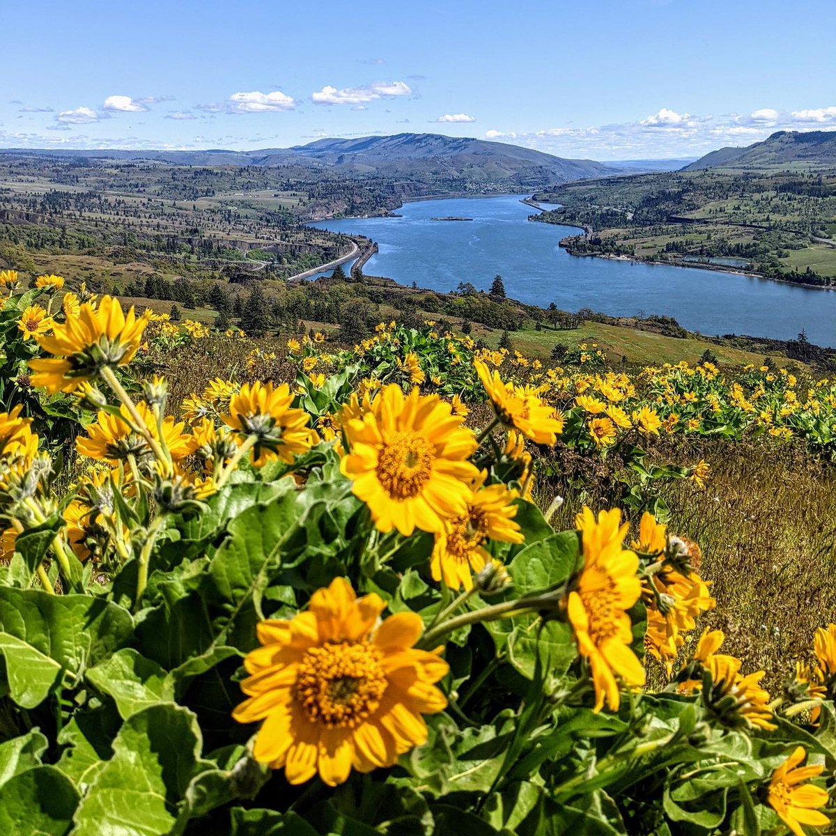 Washington State Dept. of Natural Resources tweet media
