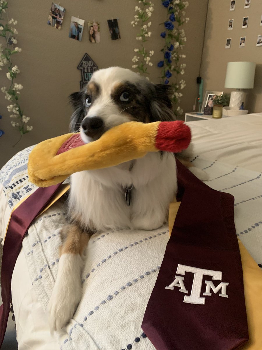 vanessarajan's tweet photo. #TAMUgrad https://t.co/5aU4pJOMtO