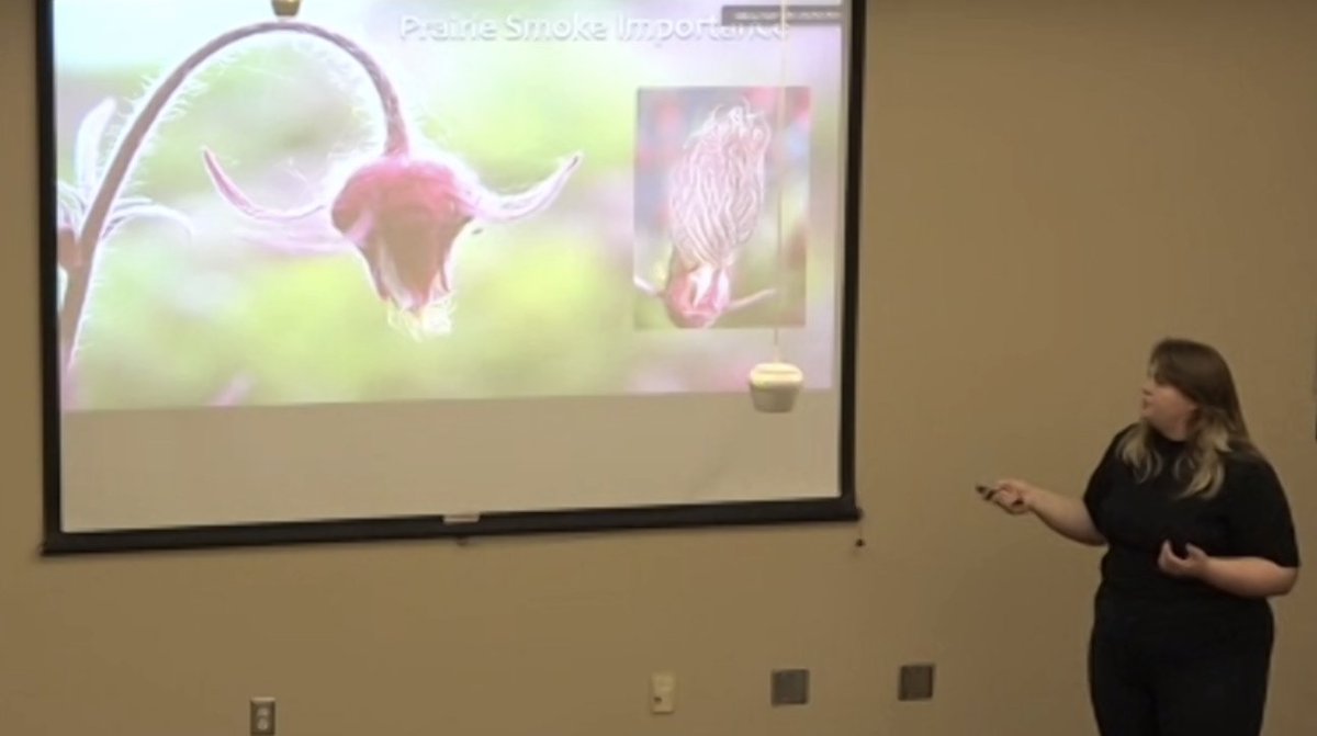 jilla_hamilton's tweet photo. Congratulations to @PrairieFungus who passed her MS today studying 'Environmental impacts on trait differences across a species' range with implications for grassland restoration'. A very thoughtful thesis that thinks broadly about restoration  #ProudPI https://t.co/WYcjEzk1of