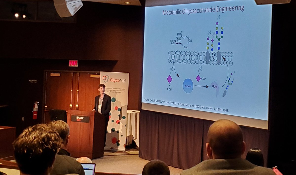 glyconet_nce's tweet photo. Jonathan Babulic @JLBabulic from @queensu talking about precision labeling and photo-crosslinking of glycoconjugates through cell-surface glyco-engineering.
#CGSBanff  #glycotime https://t.co/Zr47TcE9mg