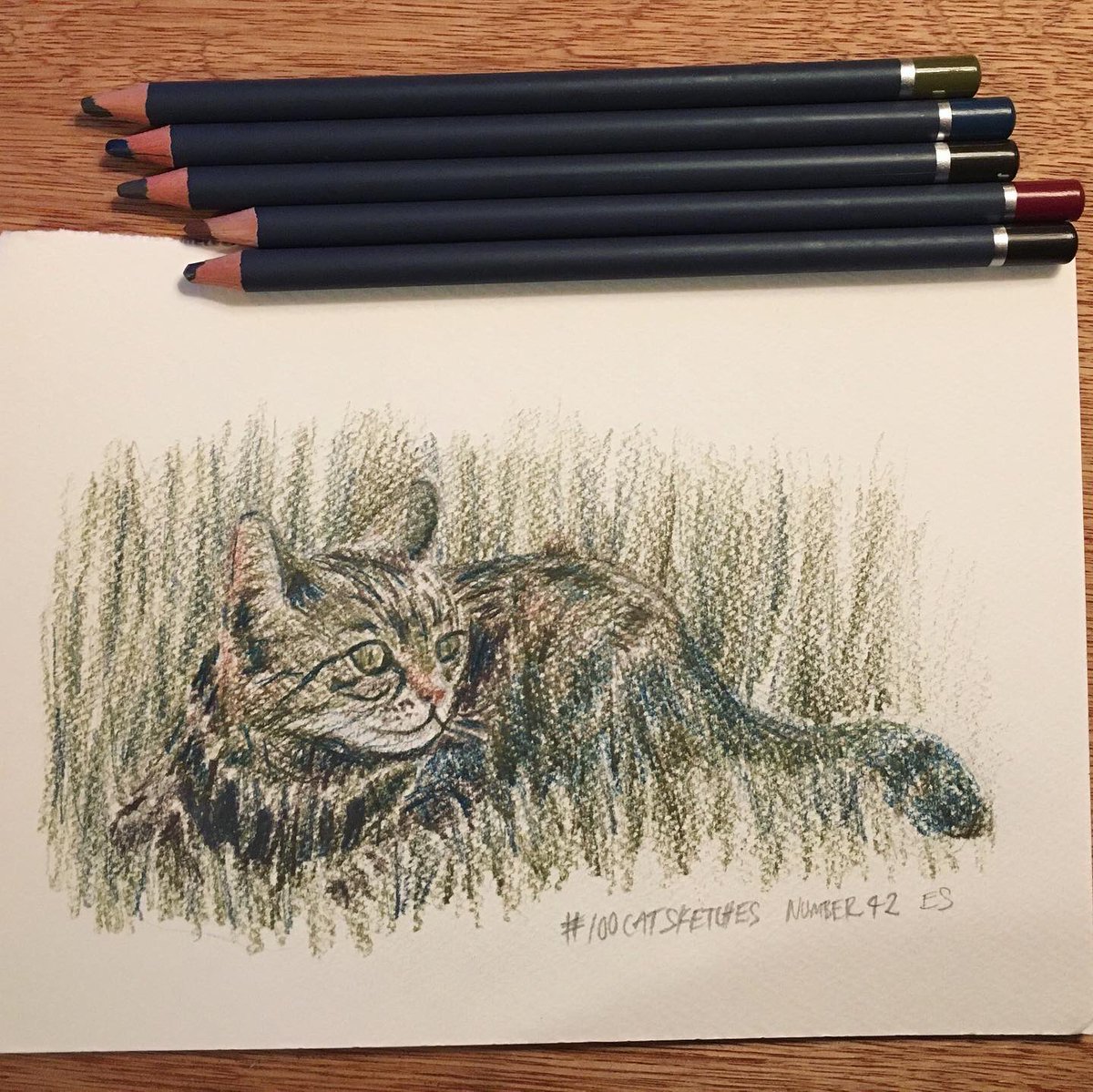 edinsketcher's tweet photo. Crouching Tabby, Hidden Tabby. Tonight’s sketch uses some subtle #ColourTint graphite pencils by @spectrumnoir which I had for a while waiting for a reason to use them. When really I should of just used them!#100catsketches #colouredpencils #newmediums #catartworks #catart https://t.co/JSI1FgxruX