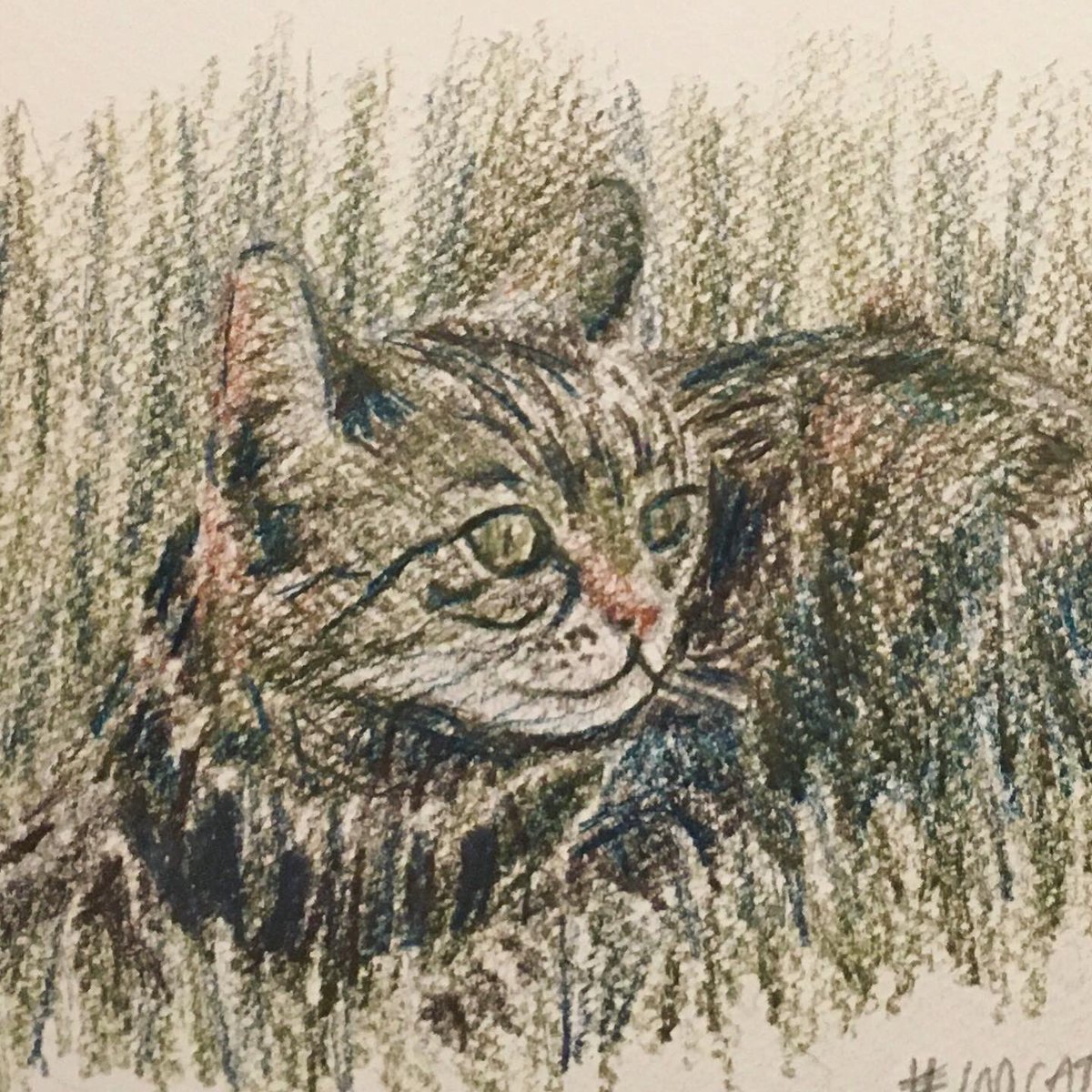 edinsketcher's tweet photo. Crouching Tabby, Hidden Tabby. Tonight’s sketch uses some subtle #ColourTint graphite pencils by @spectrumnoir which I had for a while waiting for a reason to use them. When really I should of just used them!#100catsketches #colouredpencils #newmediums #catartworks #catart https://t.co/JSI1FgxruX