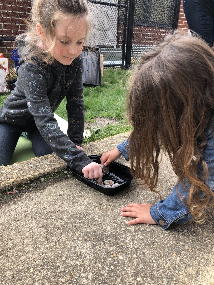 Mrs. Connell tweet media