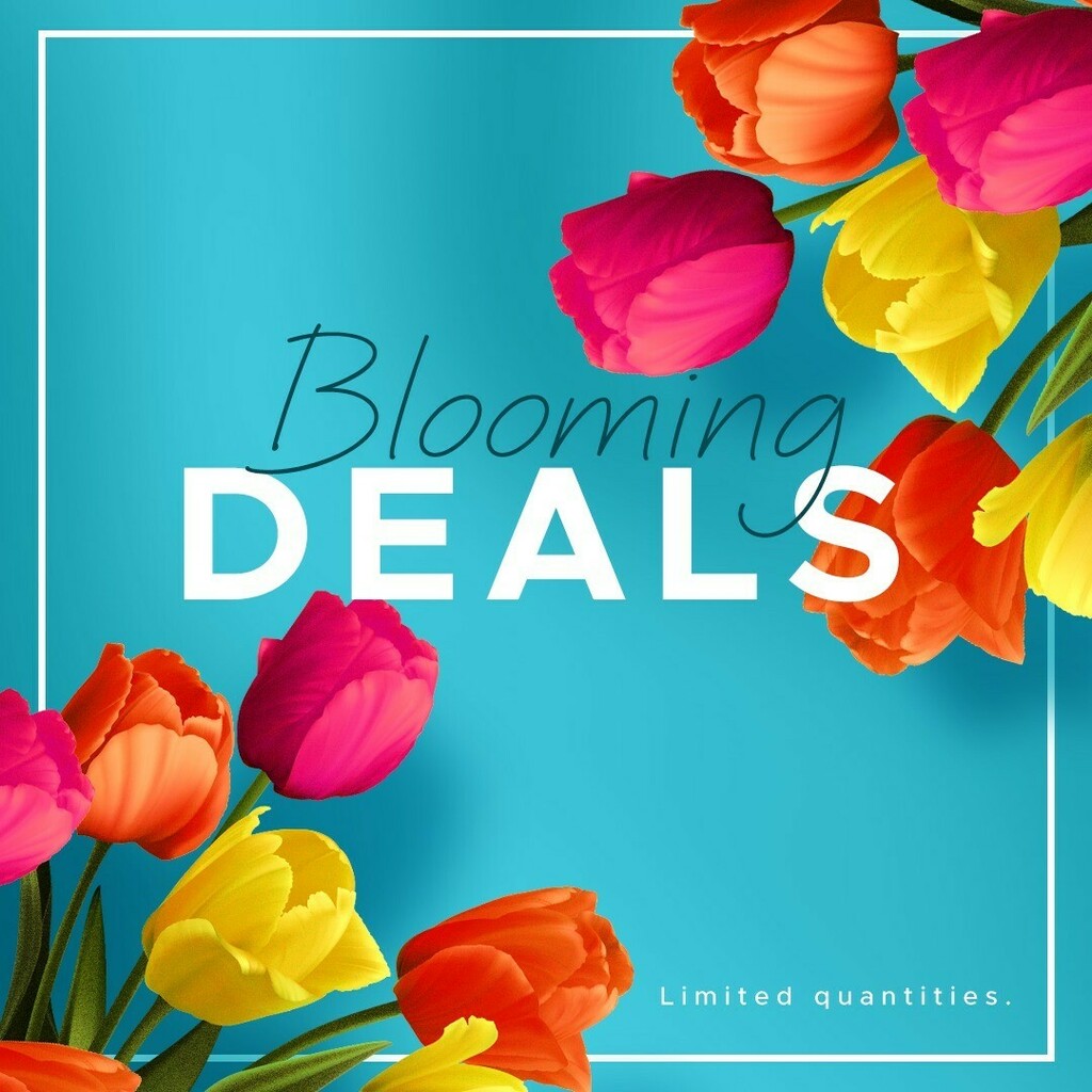 bathdepotcanada's tweet photo. The sun is back, flowers are popping up... And deals are blooming! 💐🤑

For a limited time, save big on a huge bathroom and kitchen items selection!

🛒 Link in bio

.
.
.

#sale #interiordesign #bathroom https://t.co/8aJi5FbeXH